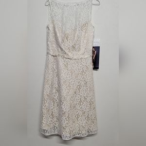 Lace Ivory Dress
